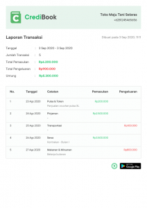 Income statement report